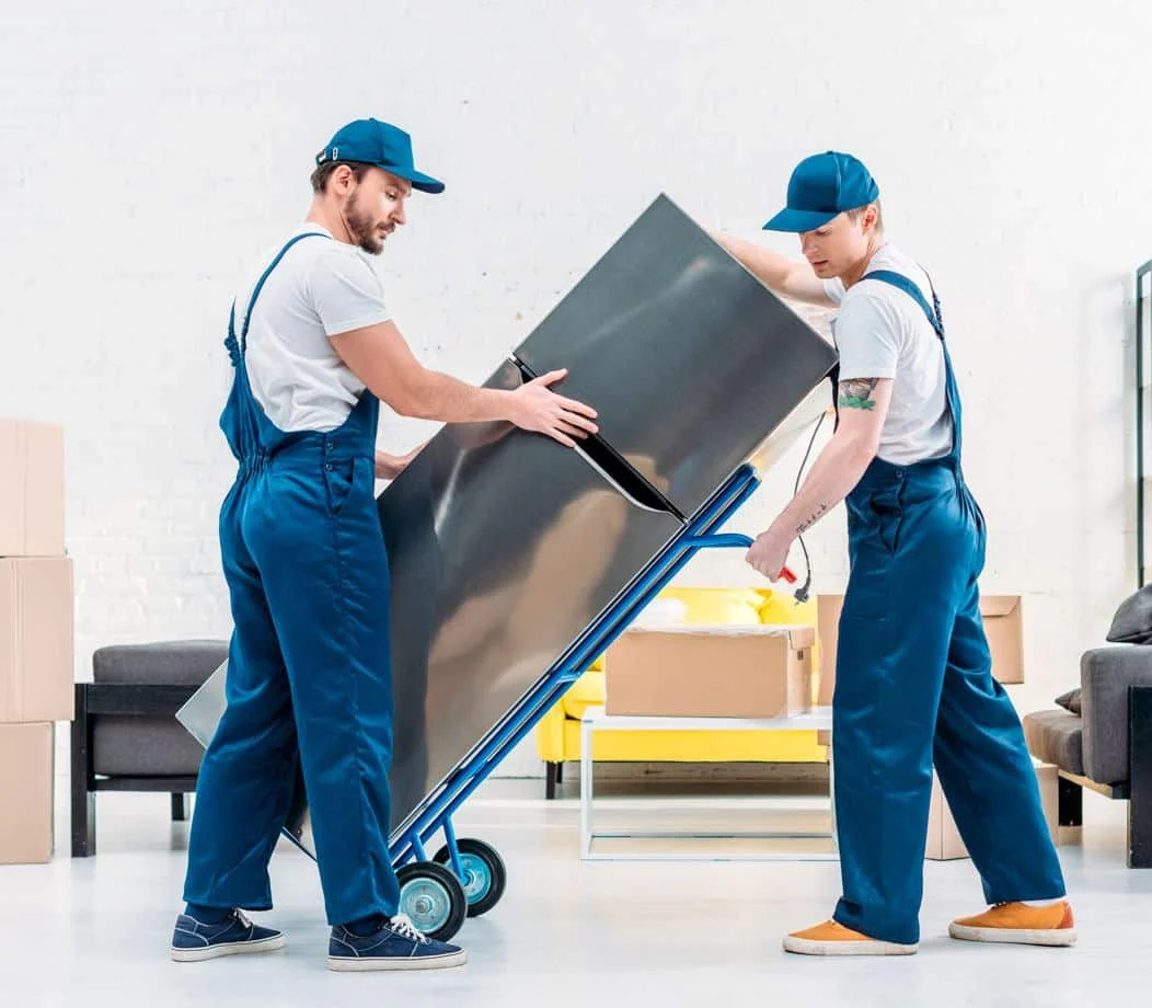 firma-de-mutari-urgente firma-de-mutari-urgente